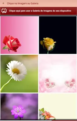 Mensagens e Frases com Flores android App screenshot 1